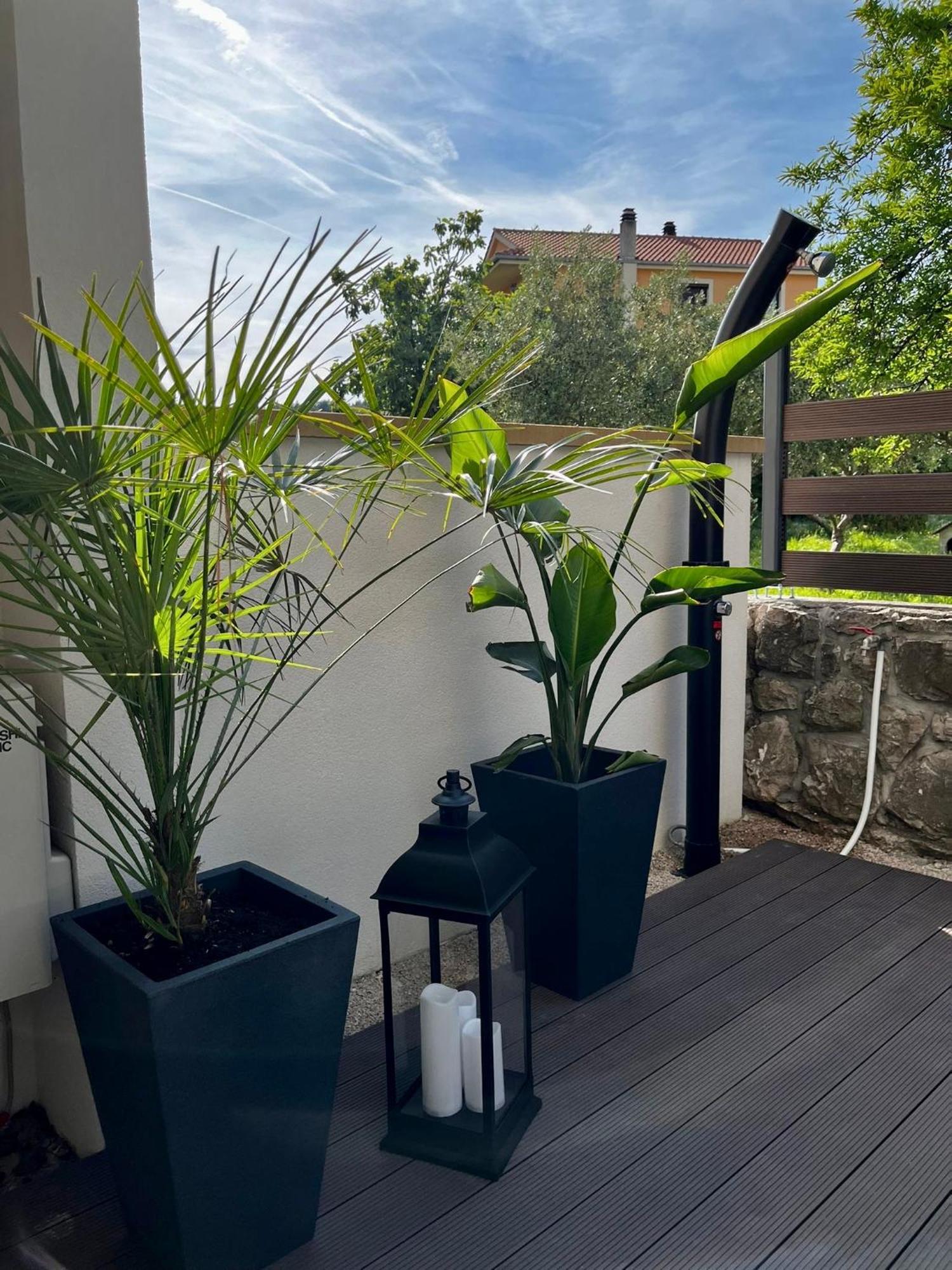 Studio Apartment Rosa Krk كرك المظهر الخارجي الصورة